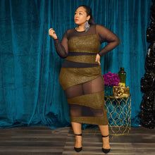Load image into Gallery viewer, Sexy Shiny Patchwork Sheer Dress(AY1778)