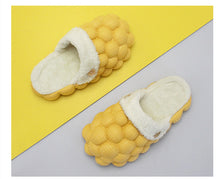 Load image into Gallery viewer, Plush cotton padded slippers ( HPSD239)
